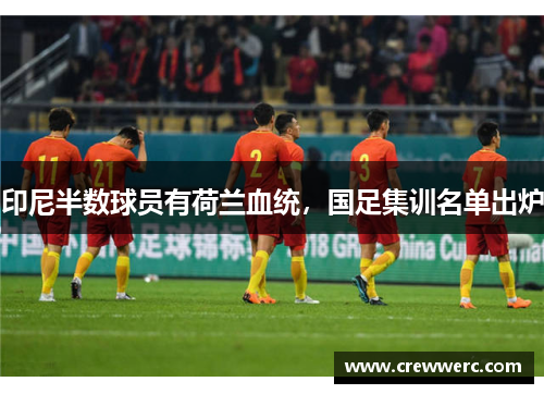 印尼半数球员有荷兰血统，国足集训名单出炉